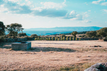 Typical landscape of the Sardinian countryside
