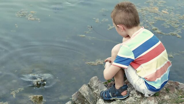 young child having fun feeding the turtles at the park