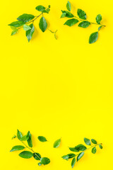 Top view frame of green leaves. Nature concept layout