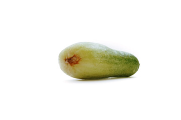 a fresh green cucumber but slightly deformed with an isolated white background