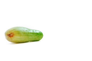 a fresh green cucumber but slightly deformed with an isolated white background with copyspace