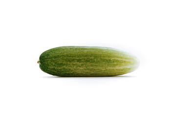 a fresh green cucumber with a background of isolated white background