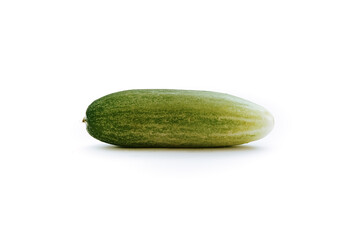 a fresh green cucumber with a background of isolated white background