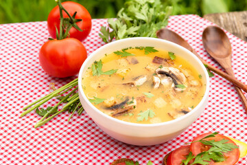 Summer mushroom soup with parsley, croutons, tomatoes on a background of a checkered red napkin in the fresh air. Vegetarian lunch in nature.