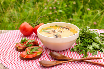 Summer mushroom soup with parsley, croutons, tomatoes on a background of a checkered red napkin in the fresh air. Vegetarian lunch in nature.