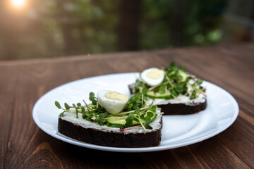two sandwiches with microgreens, cucumber and quail eggs on a white plate. wooden background. bright glare sunny. Healthy diet. Delivery option. young sprouts of radish and red cabbage. horizontal pho