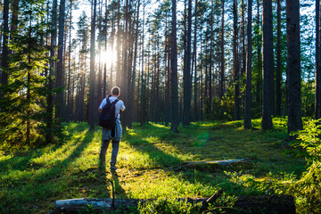 Obraz premium The photographer stands in a beautiful green forest. Rays of light penetrate through trees. Bright summer forest. The man in the foreground with the camera.