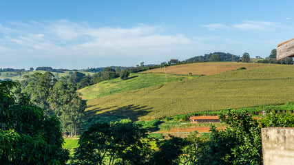 Fototapeta na wymiar beautiful mountains in brazil, a view of the state of minas gerais
