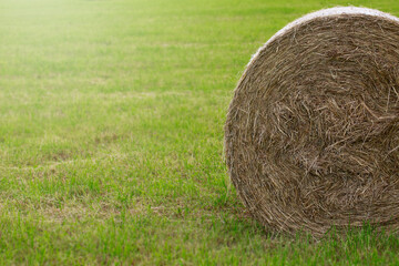 Hay pack in a cut meadow. Detail and place to describe