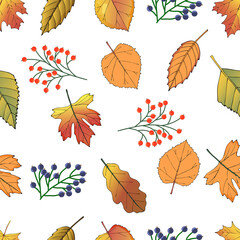 Pattern with autumn leaves.Autumn leaves are black and red Rowan.Autumn motif.It can be used for textile Wallpaper and packaging.Vector illustration.
