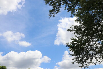 blue sky and clouds