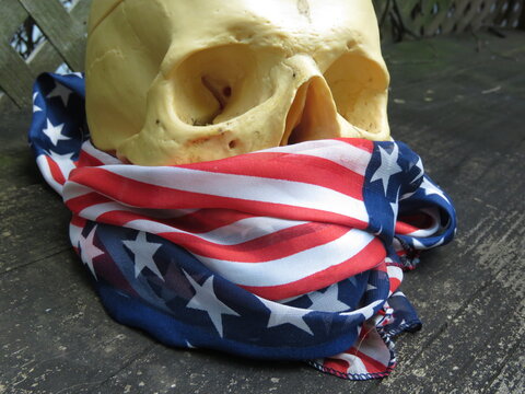 skull in American flag