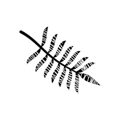 abstract tropical coconut leaf icon, silhouette style