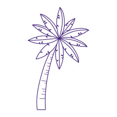 tropical palm tree cartoon isolated design icon white background