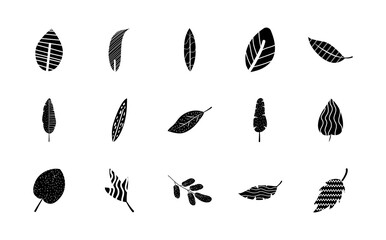 icon set of abstract tropical palm leaves, silhouette style