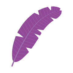 purple feather cartoon isolated design icon white background