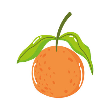 citrus fruit orange fresh cartoon isolated design icon