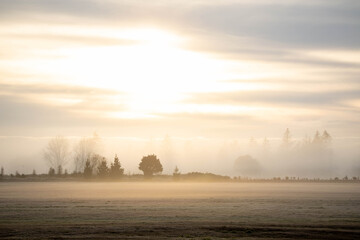 Early in the morning, the sun rises and shines through the clouds and foggy mist on a freezing cold...
