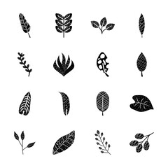 elephant ear leaf and abstract tropical leaves icon set, silhouette style