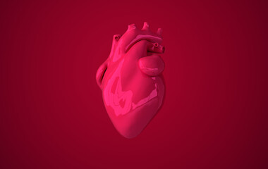 Realistic human heart organ with arteries and aorta 3d rendering. Happy Valentines Day greeting card. Romantic background. Red ceramic heart