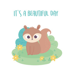 Obraz na płótnie Canvas cute little squirrel cartoon animal adorable with flowers
