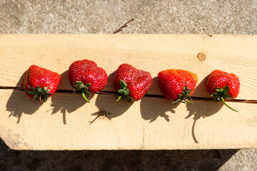 Ugly strawberry on a wooden pine bar with harsh shadows from the daytime sun. New harvest. Country...