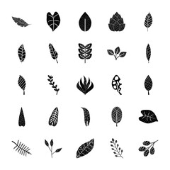 icon set of tropical leaves with abstract design, silhouette style