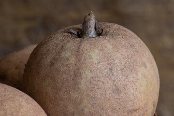 Sapotis exotic fruit close up view of the texture.