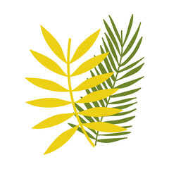 branches leaves foliage botanical cartoon isolated design icon