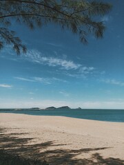 tropical beach with blue sky