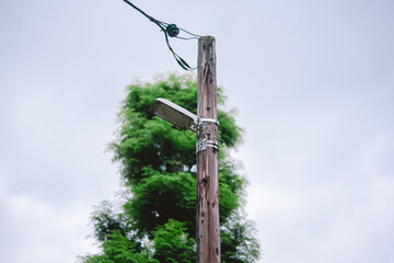木製電柱