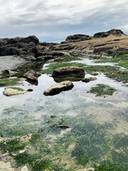 Ocean Beach Rocky Low Tide Coastline