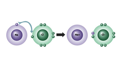 Ionic compounds formed and how atoms bond, sodium and chloride