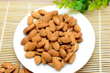 Almond Nut (Prunus dulcis, syn. Prunus amygdalus)