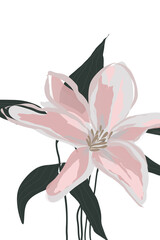 Floral illustration of a Lily as a modern abstract  art print - 365368675