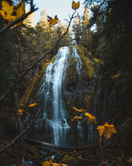 waterfall in autumn forest