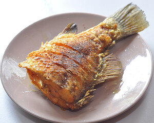 sea ​​bass fry fish isolated white background