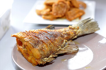 sea ​​bass fry fish 