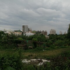 Fototapeta premium urban farm