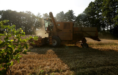 Wilamowice,Poland - July 15, 2020 : Harvest in Poland. Bizon ZO56 harvester © praszkiewicz