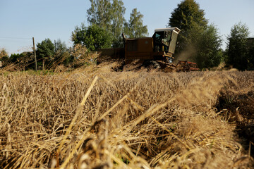 Wilamowice,Poland - July 15, 2020 : Harvest in Poland. Bizon ZO56 harvester