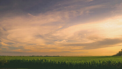 the beautiful side of Illinois