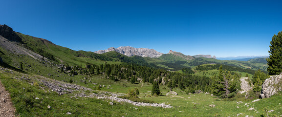 Fototapeta na wymiar mountain meadow landscape panorama Seiser Alm , dolomiti italy