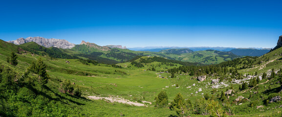 mountain meadow landscape panorama Seiser Alm , dolomiti italy