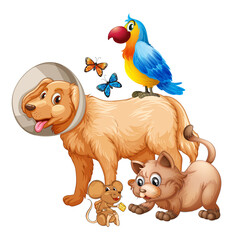 Group of cute animals cartoon character isolated