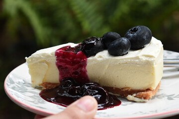 
Cake
Is a blueberry chip cake
Is a delicious sweet dessert