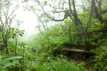 Landscape in Mombacho Volcano, Nicaragua