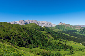 Naklejka premium mountain meadow landscape panorama Seiser Alm , dolomiti italy