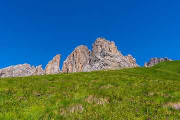 Incredible nature landscape in Dolomites Alps. Spring blooming meadow. Flowers in the mountains. Spring fresh flowers. View of the mountains. Panorama of Dolomites, Italy. Daisy flowers.