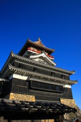 Fototapeta premium 清洲城